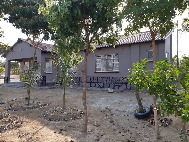 Thomas Agricultural Hub — Tobacco production in Mutare